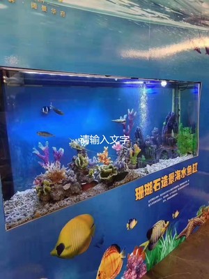 公 主嶺馬戲團表演出租有沒有