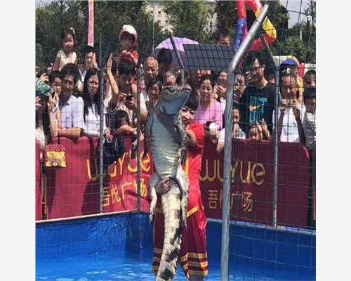 施秉縣出租海獅表演一場(chǎng)多少錢